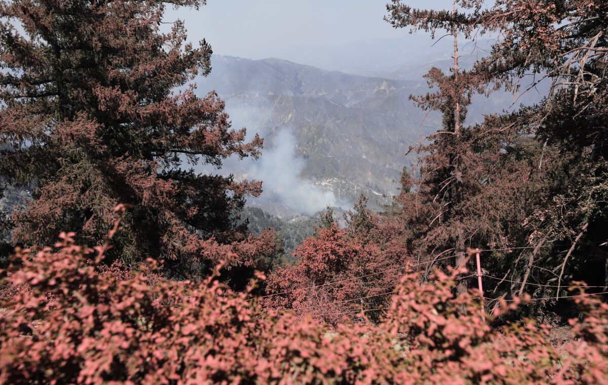 Brush burns in the distance as seen from the Mt. Wilson Observatory, framed by vegetation covered in pink fire retardant.