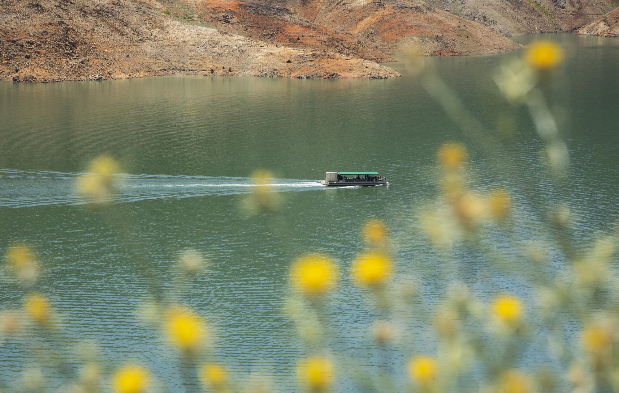 A boat glides through the water at Shasta Lake.