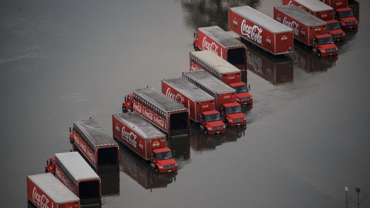 A fleet of Coca-Cola delivery trucks sits in floodwaters in Lumberton, Texas.