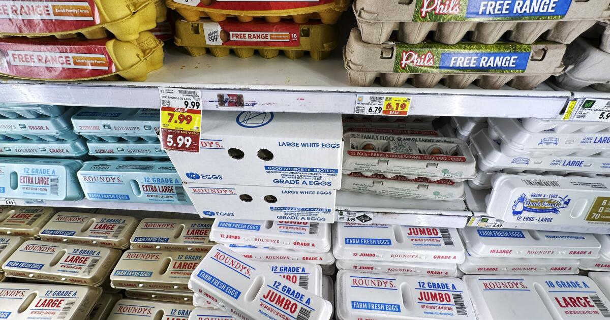 “Egg-straordinary Inflation: The Great Scramble for Affordable Omelets” “Egg-straordinary Inflation: The Great Scramble for Affordable Omelets”