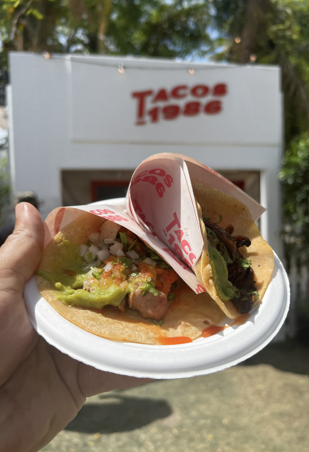 Tacos 1986, Coachella 2023