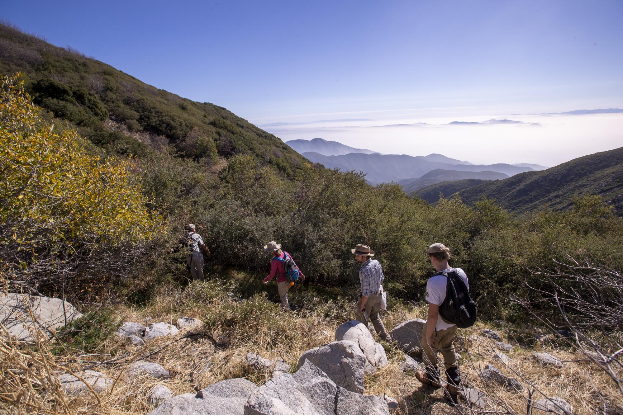 People hike in the San Bernardino National Forest