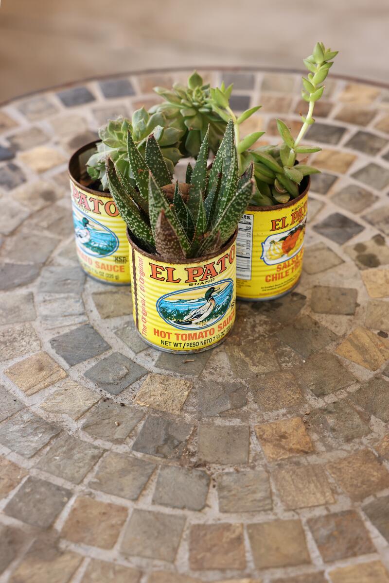 Repurposed cans of El Pato tomato sauce hold succulents on Aurora Anaya's front porch.