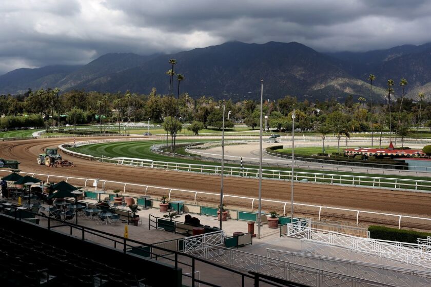 ARCADIA, CA-MARCH 7, 2019: The Santa Anita Track is under examination after 21 horses die in 10 weeks on March 7, 2019, in Arcadia, California. (Photo By Dania Maxwell / Los Angeles Times)