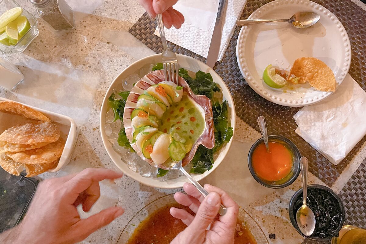 An overhead view of hands serving a seafood dish.