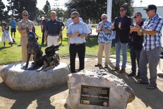 471996-sd-se-navy-seal-dog_NL San Diego, CA November 9, 2019 Trevor Maroshek, with his service/therapy dog Thor (son of Chopper) pose with the new memorial statues just after the unveiling of Imperial Beach's Military Service Dog Memorial Statue on Saturday, November, 9, 2019 at Veterans Park on 8th Street, behind the library . The new statue depicts Chopper, “The Navy SEAL Dog,” and recognizes his handler and local Navy SEAL veteran Trevor Maroshek, who helped start the first Navy SEAL Multi-Purpose Canine program. On the stage from left to right are: Captain Tim Slentz, Commander Naval Base Coronado, Andrew Tefeslki , of the Naval Seal Foundation, IB council member Bobby Patton (behind Maroshek), former SD Mayor Jerry Sanders, IB Mayor Dedina, IB council member Mark West, and Jerry Quinn, community supporter. © 2019 Nancee E. Lewis / Nancee Lewis Photography.