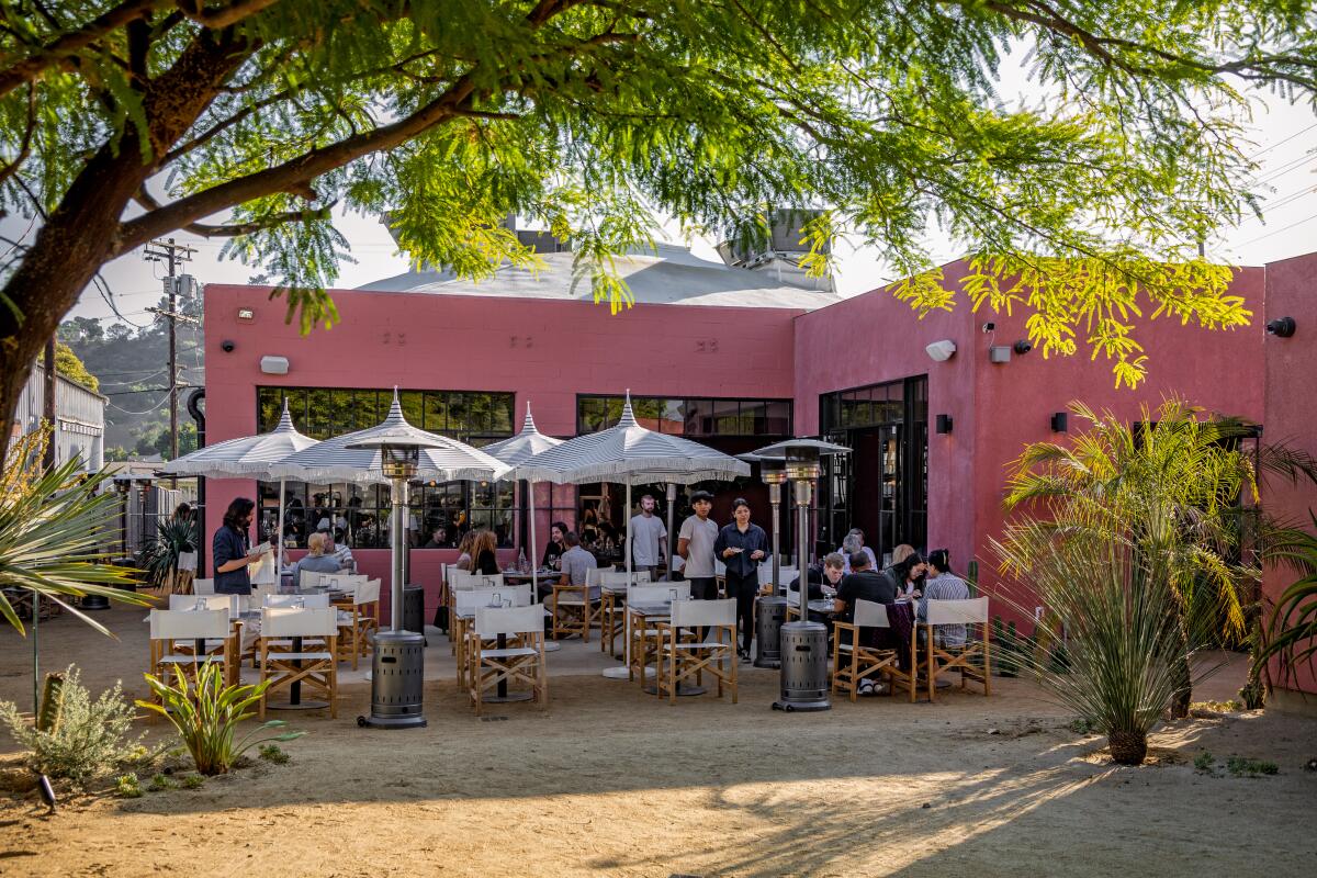 The shady patio at Za Za Zá and Loreto