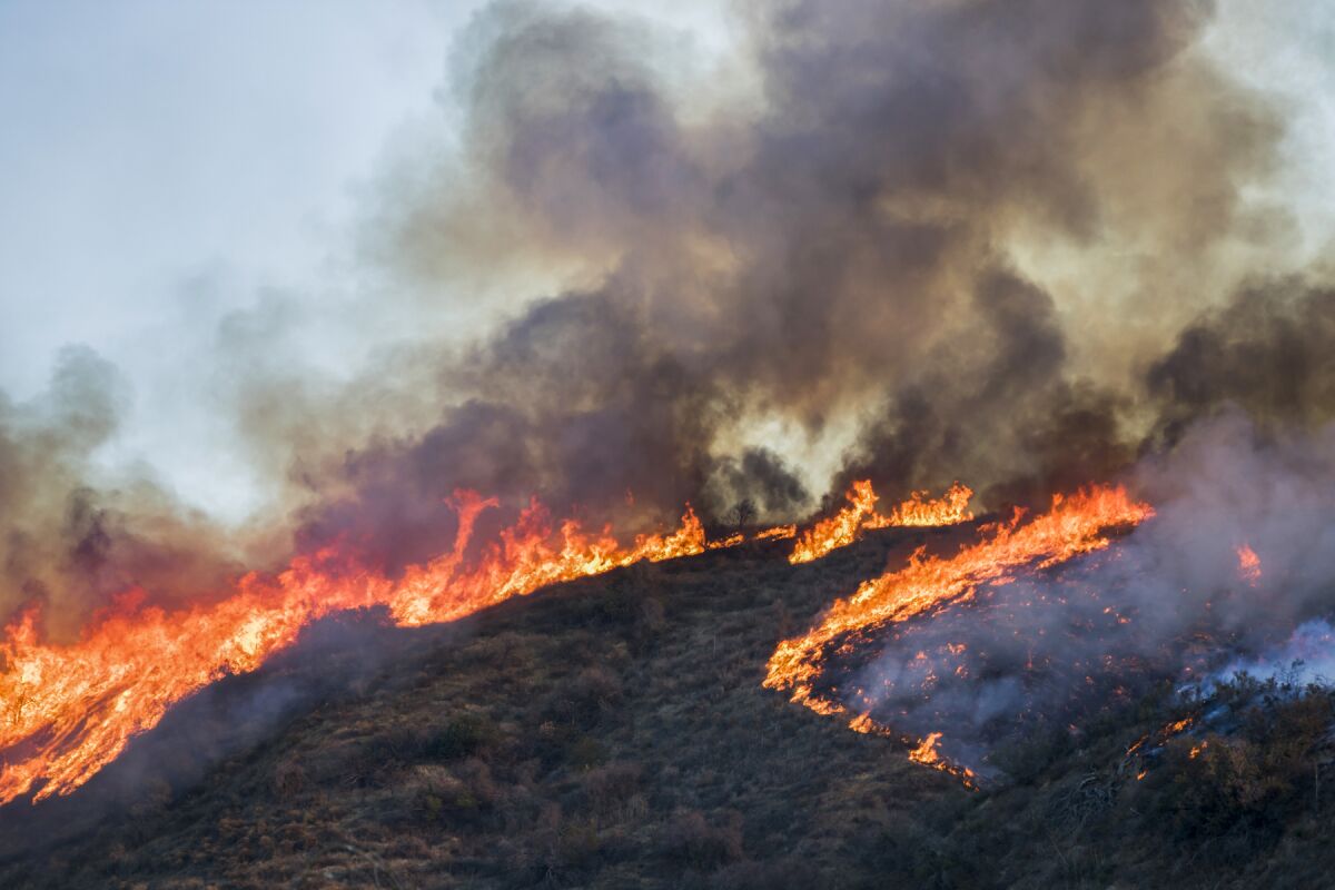 wildfire burning on a hillside