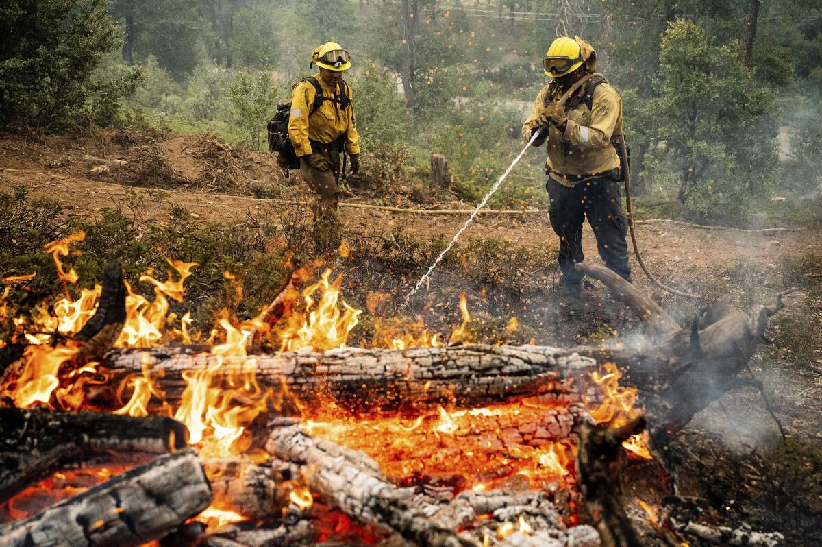 Firefighters spray water on burning wood