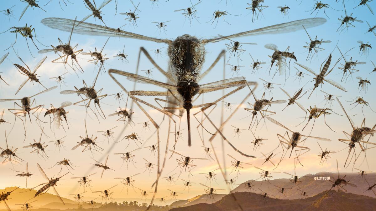 Are Mosquitoes Outsmarting Mosquito Nets? – National Geographic