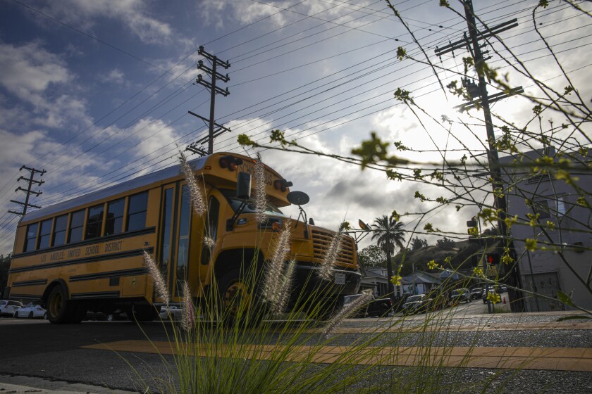A school bus on Pasadena Avenue in Lincoln Heights.
