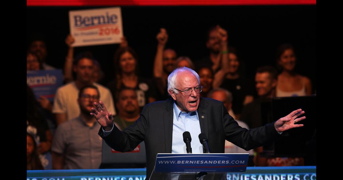 These Are The Faces Of The Bernie Sanders Grass Roots Army Los Angeles Times 