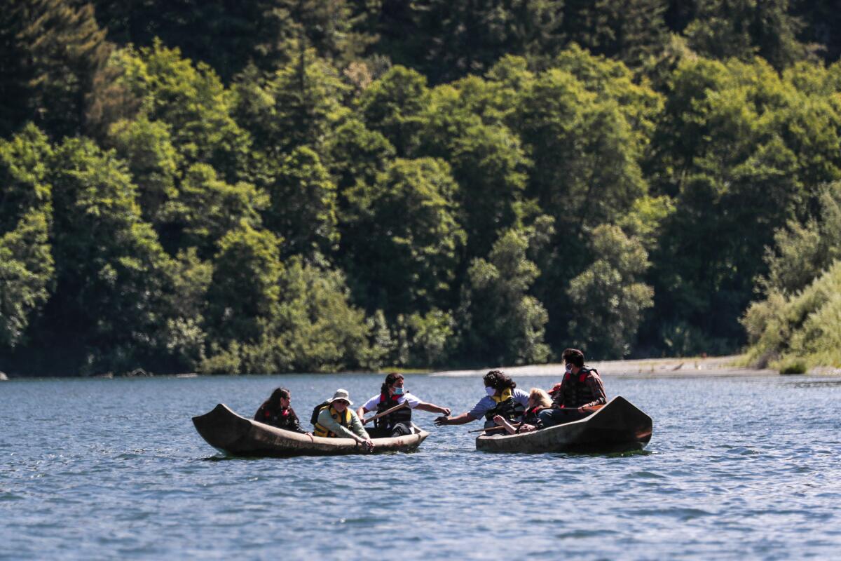 Two canoes and their passengers float by willows, alders, fir and cottonwood trees on the banks of the Klamath River.