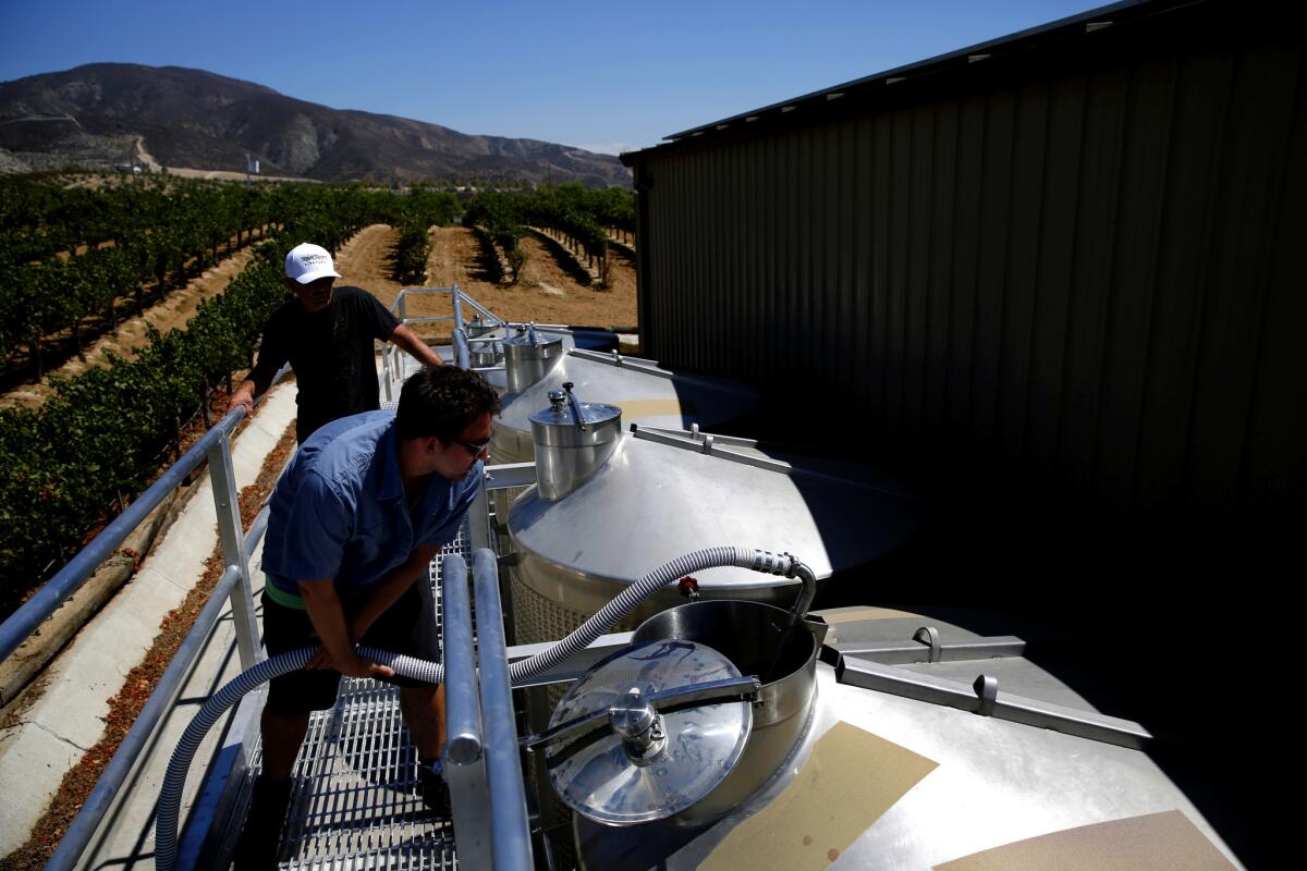 Danny Fratarcangeli disconnects a hose used to pump fermented juice from the bottom of the tank to the top of the tank, where the juice bleeds through the skins to extract more color, at Robert Renzoni Vineyards & Winery.