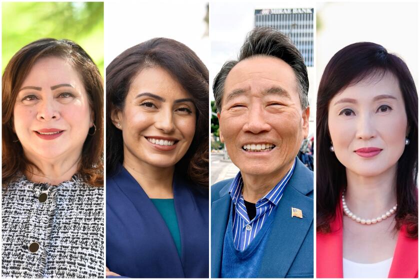2024 California's Senate District 25 candidates