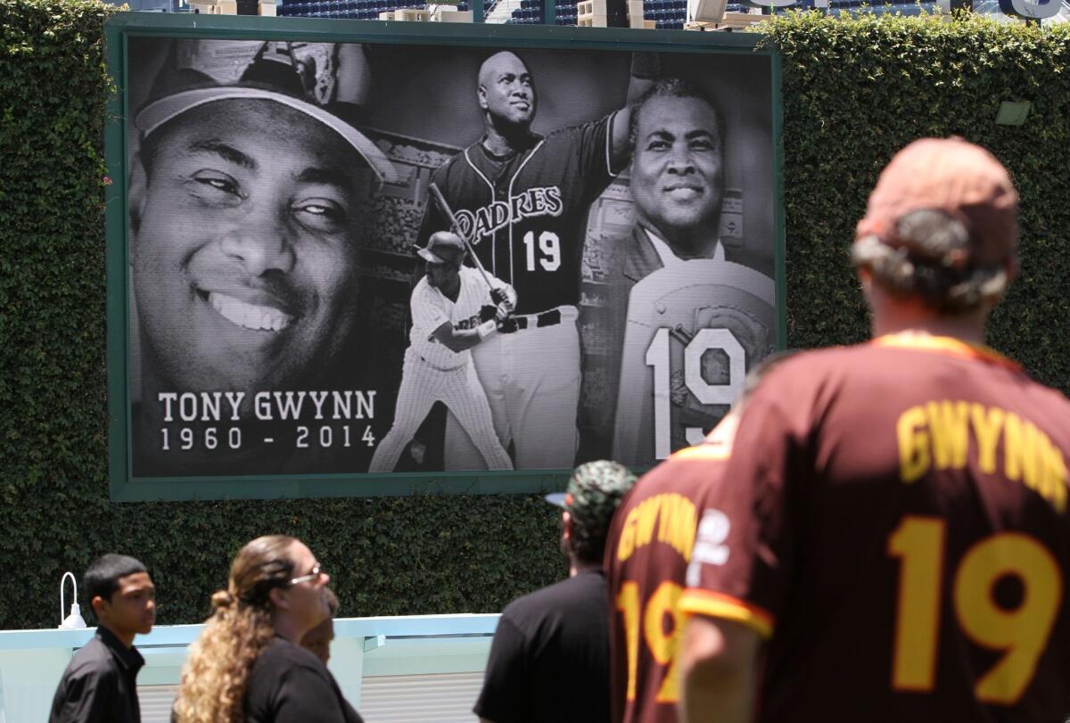 San Diego Padres fans watch a tribute to Tony Gwynn on a large screen at Petco Park. Gwynn died Monday after a lengthy battle with salivary gland cancer.