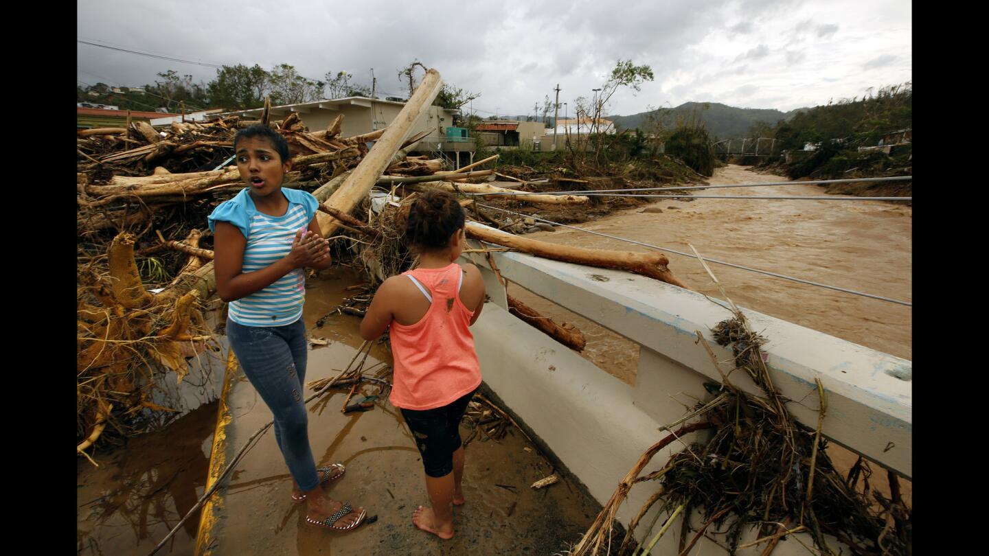 In Utuado, Puerto Rico, rushing water from Hurricane Maria tore down trees and stripped them of their branches. The main north-south road is washed out, leaving people cut off.