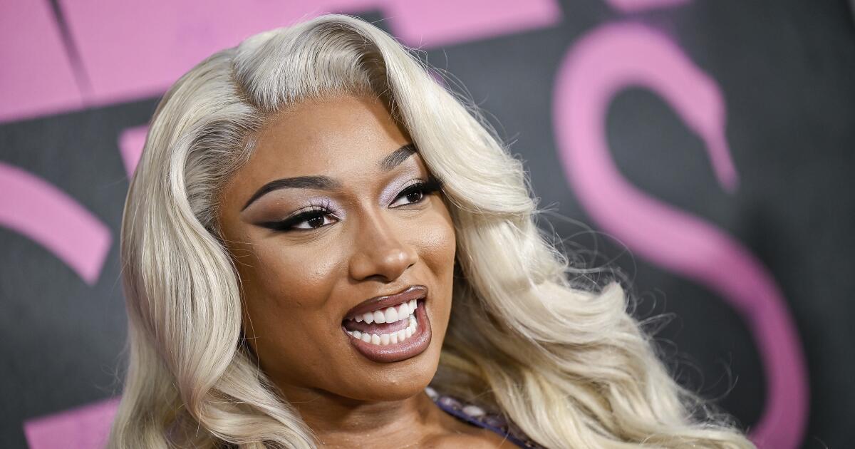 Megan Thee Stallion, Roc Nation sued by personal cameraman, who tends to make a provocative allegation