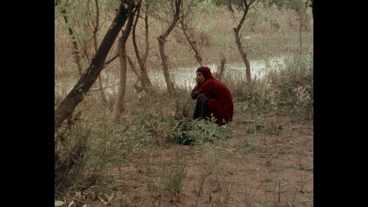 A woman sits in a forest.