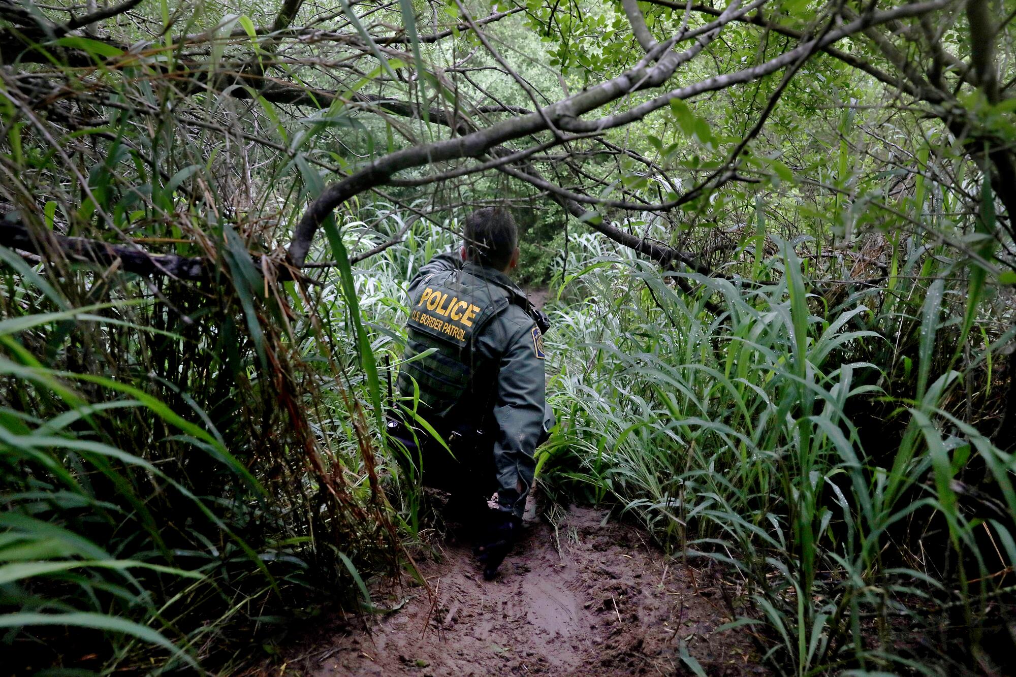 A Border Patrol agent in uniform navigates muddy ground and low tree branches