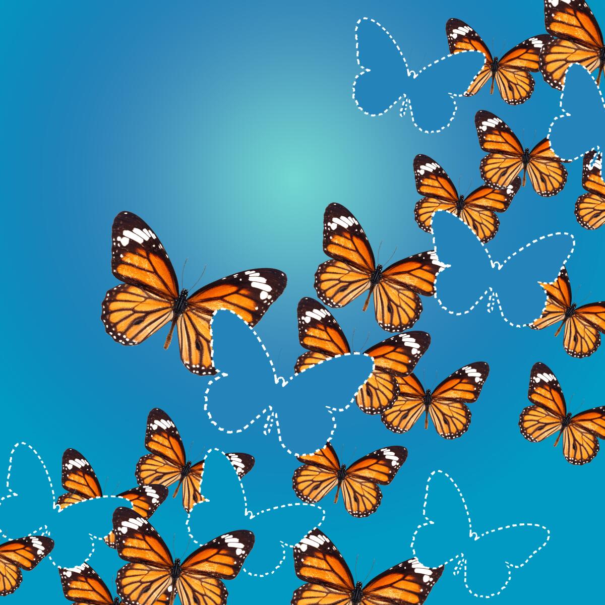 A graphic of monarch butterflies on a blue background