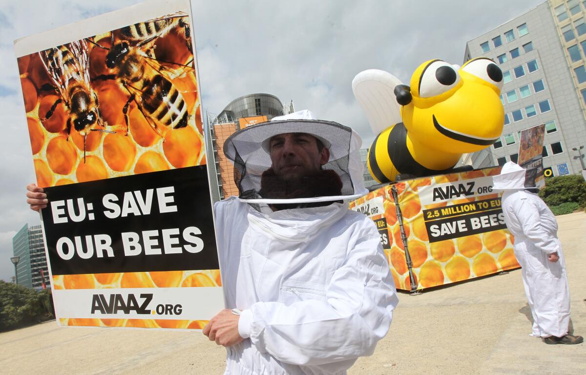 Beekeepers demonstrate in front of the European Council and Commission in Brussels.