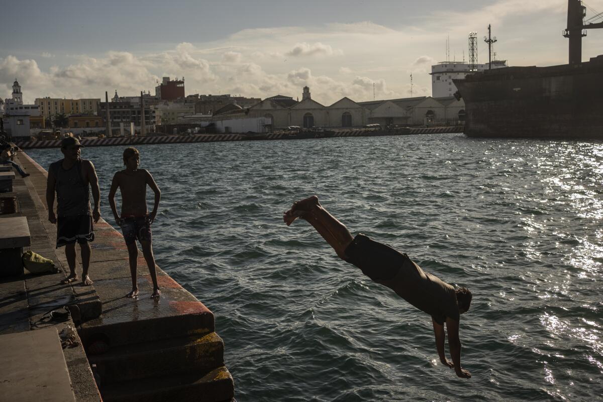 A man jumps into the sea form a stone wall as sun shimmers on the water. 