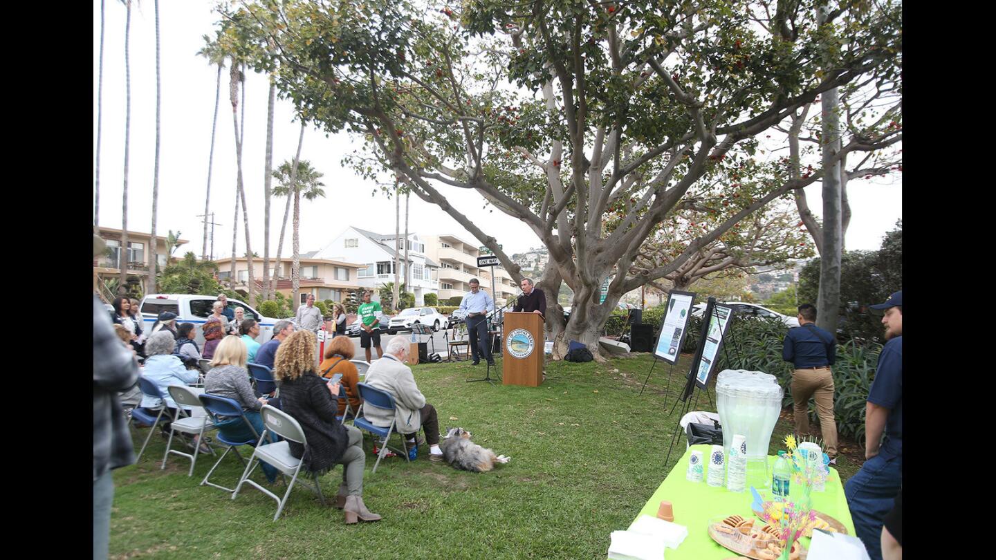 Laguna celebrates Arbor Day with tree planting