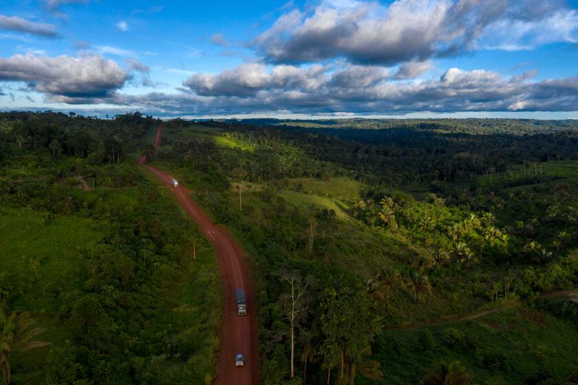 Aerial view of the Transamazonica Road (BR-230) near Medicilandia, Para State, Brazil on March 13, 2019. - According to the NGO Imazon, deforestation in the Amazonia increased in a 54% in January, 2019 -the first month of Brazilian President Jair Bolsonaro's term- compared to the same month of 2018. Para state concentrates the 37% of the devastated areas. (Photo by Mauro Pimentel / AFP) (Photo by MAURO PIMENTEL/AFP via Getty Images)