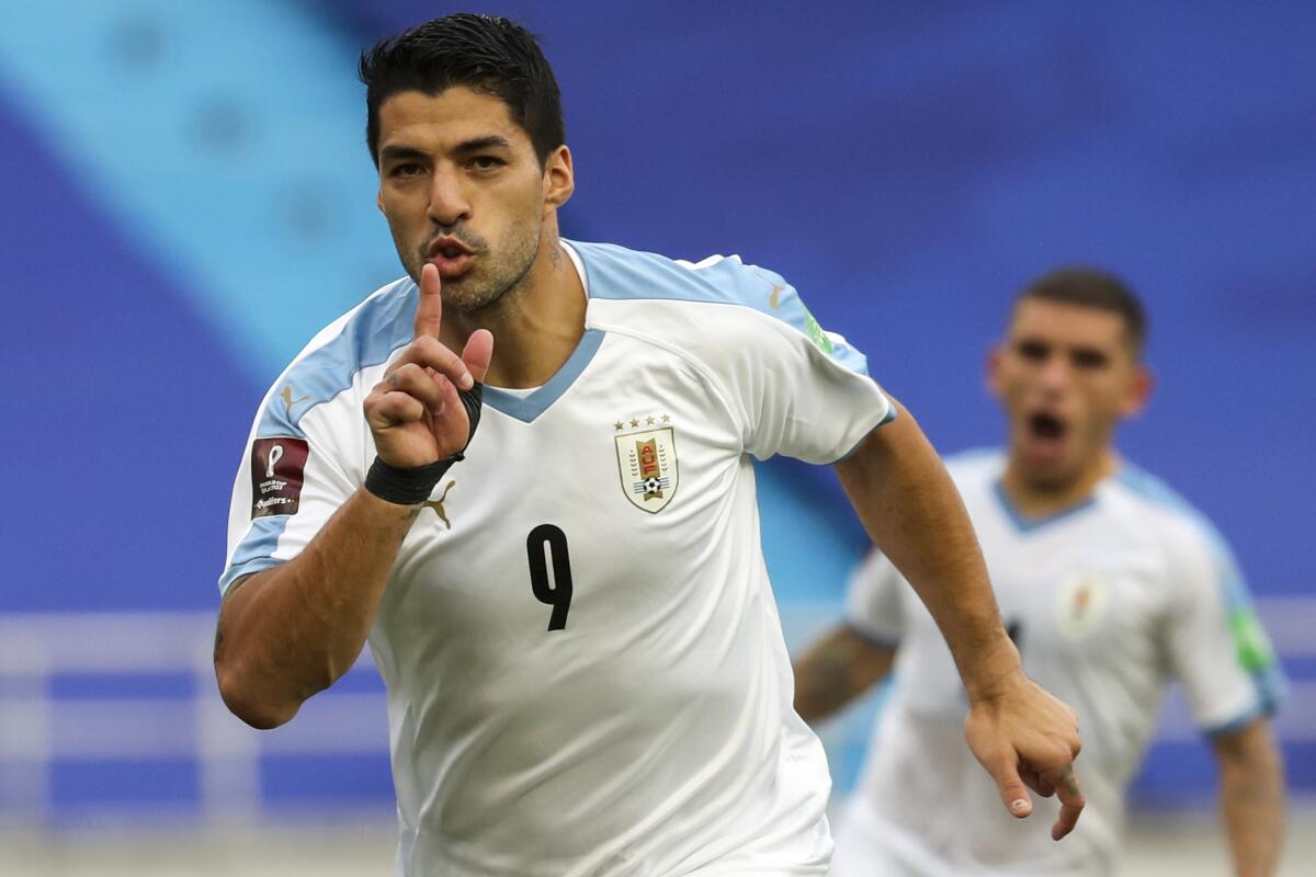 Luis Suárez regresa con la selección de Uruguay para la próxima  eliminatoria mundialista