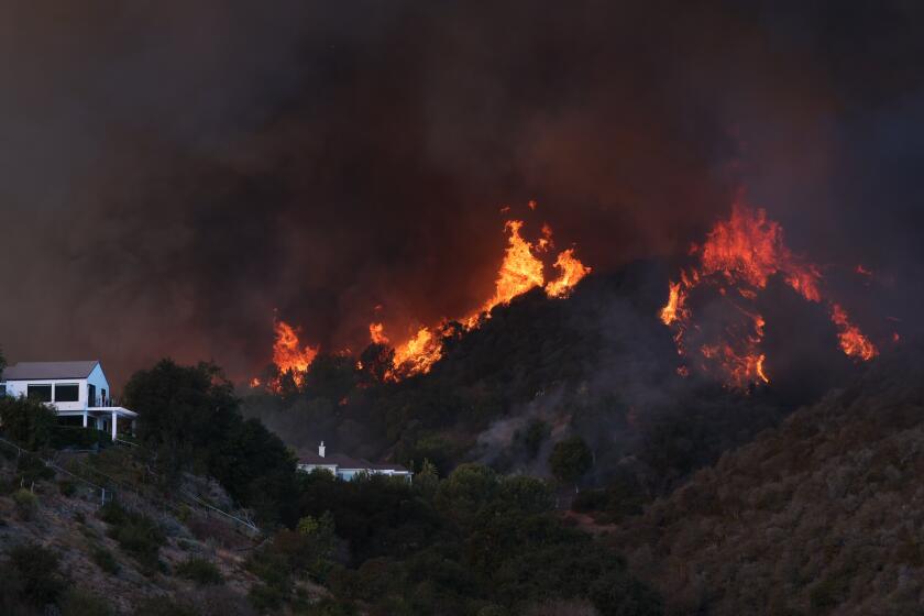 Behind the stunning exit of Disney CEO Bob Chapek - Los Angeles Times