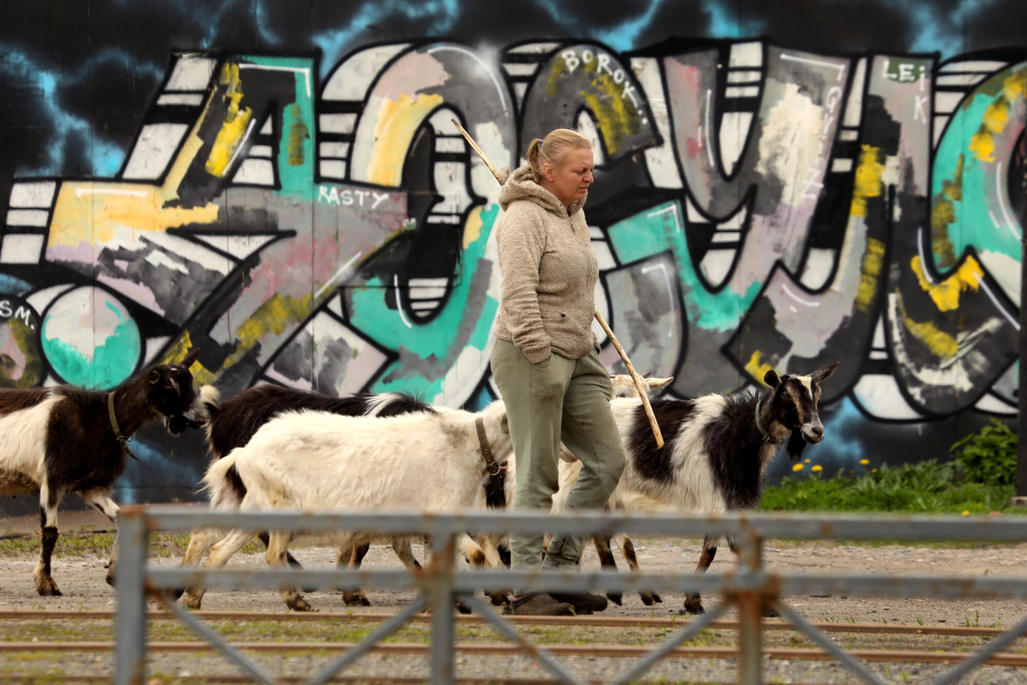 In the Saltivske area of Kharkiv, Ukraine, a woman grazes her goats, as life goes on despite Russian shelling.