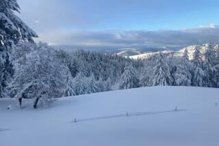 Historic snowfall lingers on Humboldt County mountains.