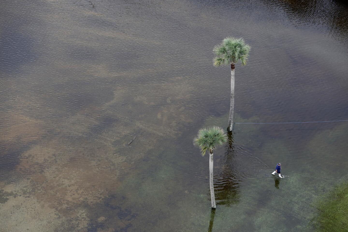 Un hombre camina por aguas inundadas en el aparcamiento de The Citadel Beach Club en Isle of Palms, South Carolina, el lunes 5 de octubre de 2015. Charleston y sus alrededores siguen luchando con las inundaciones debido a una tormenta que se desplaza a baja velocidad. (AP Foto/Mic Smith)
