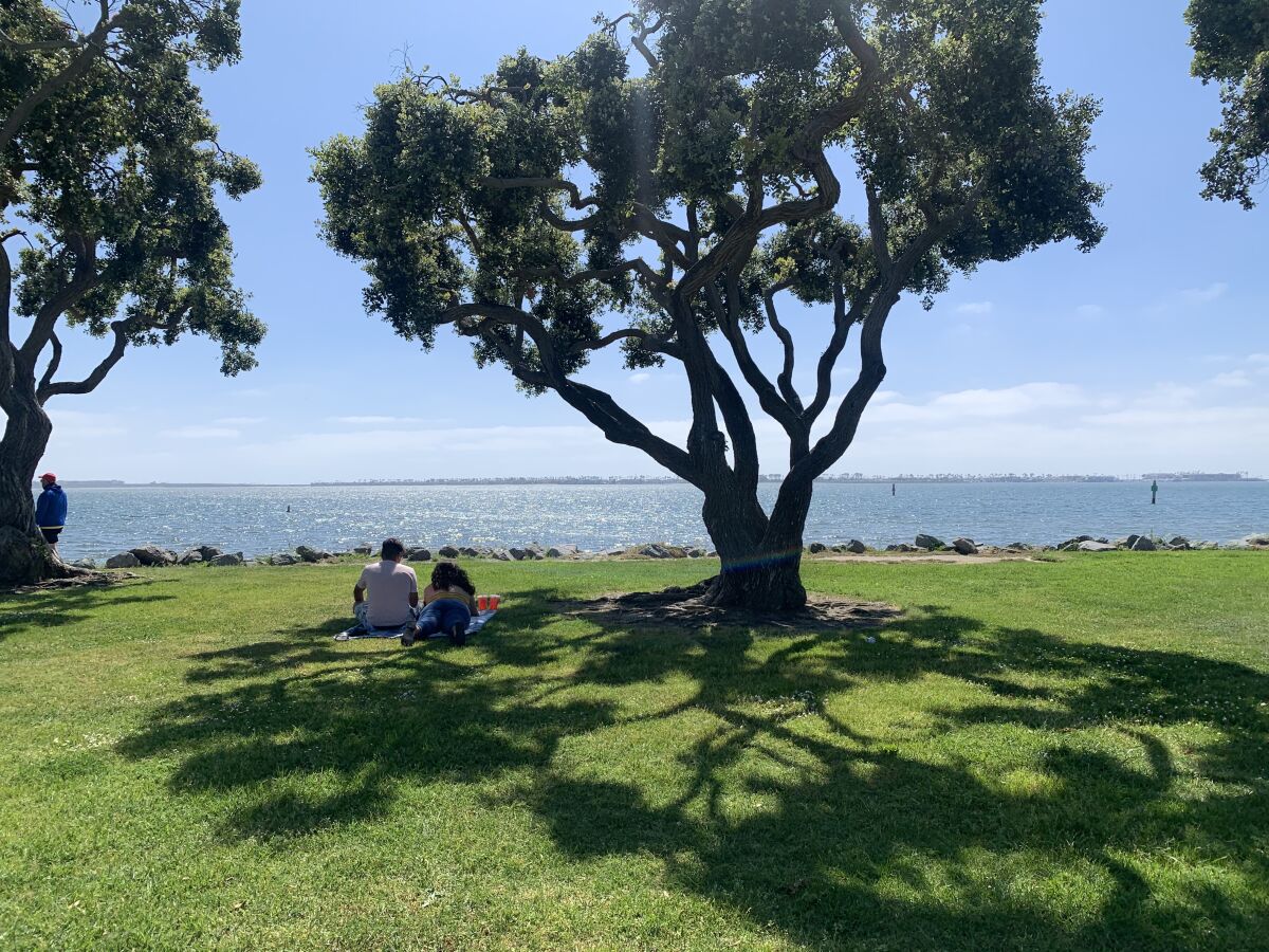 A couple enjoy a picnic on the grass at Bayside Park in Chula Vista.