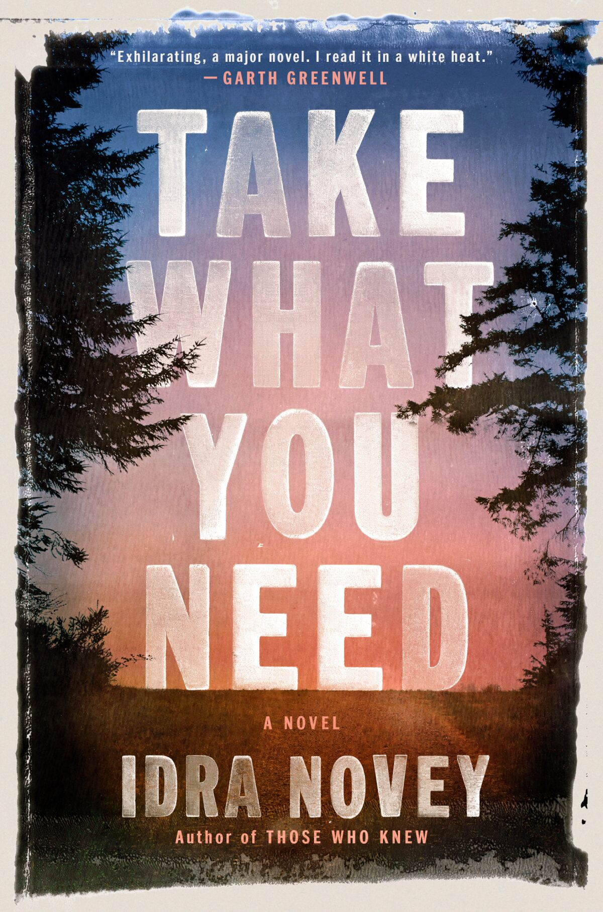 cover of 'Take What You Need,' by Idra Novey