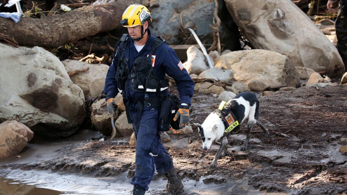 Davis Doty with Jester from Orange County Fire Authority work to locate bodies along Olive Mill Road in Montecito.