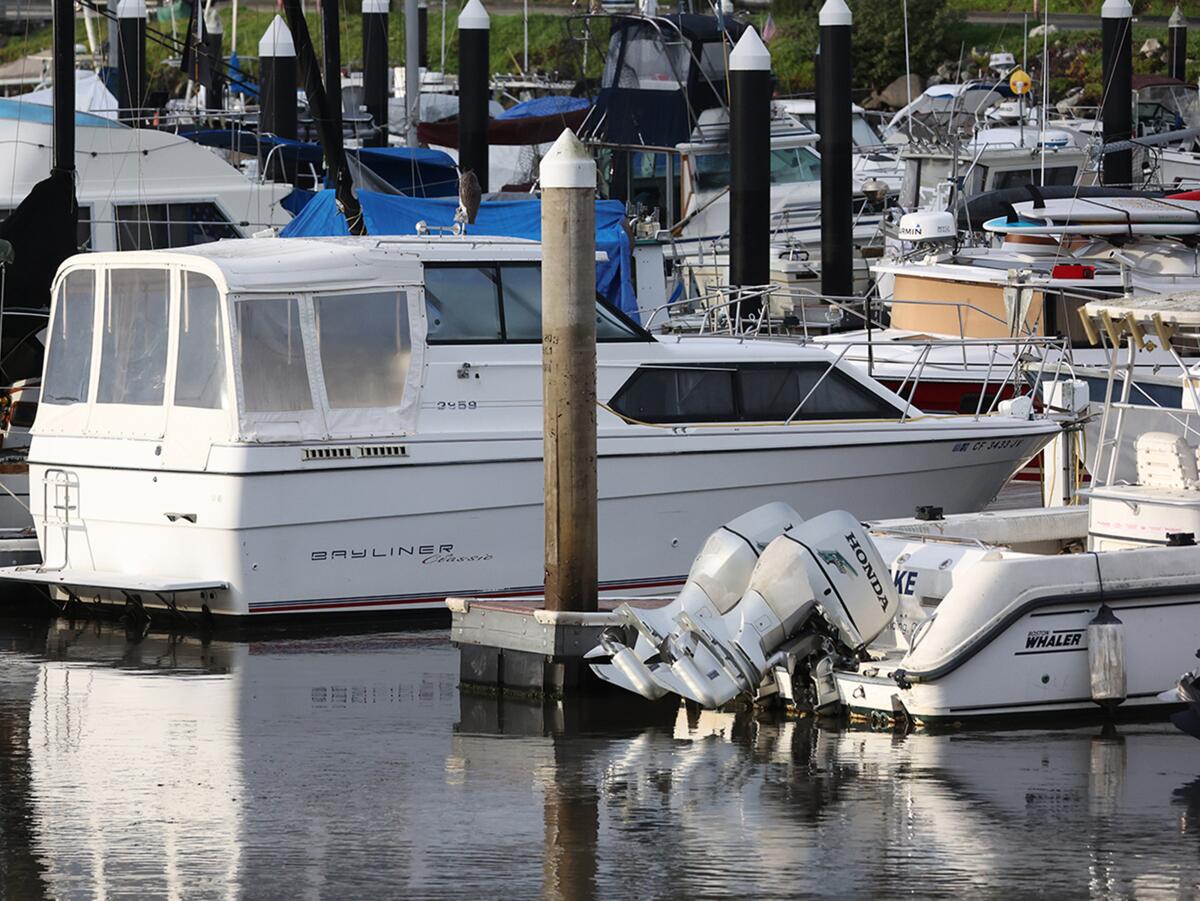 Harbor pilings extend far out of the water as boats sit at docks