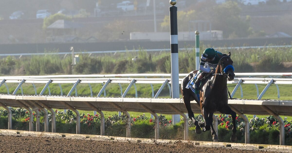 Pacific Classic highlights Del Mar’s 2023 horse racing schedule
