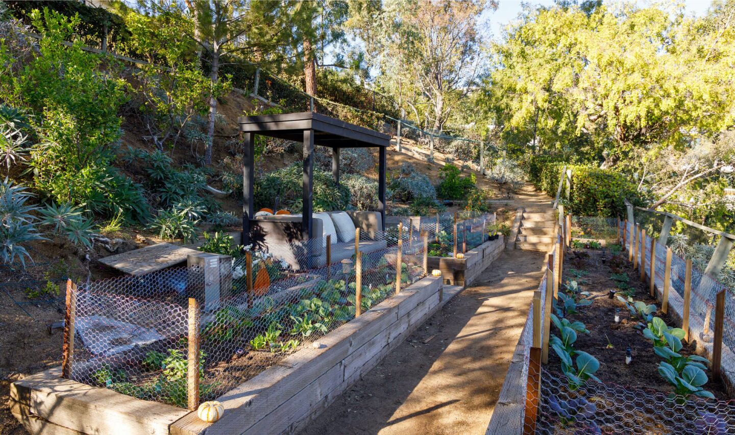 The garden.
