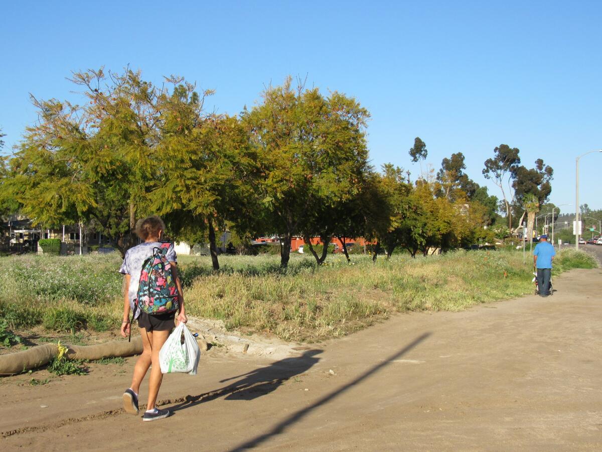 People walk along Woodside Avenue in Lakeside next to a line of jacaranda trees that are slated to be removed this week.