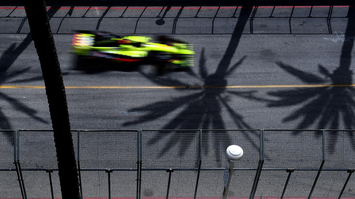 Palm trees cast shadows on the race course at the 2018 Grand Prix of Long Beach