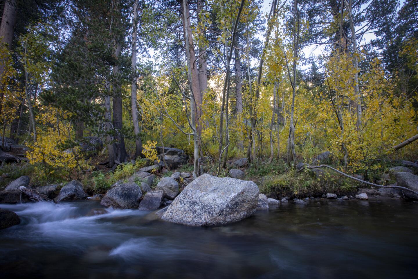 South Fork Bishop Creek