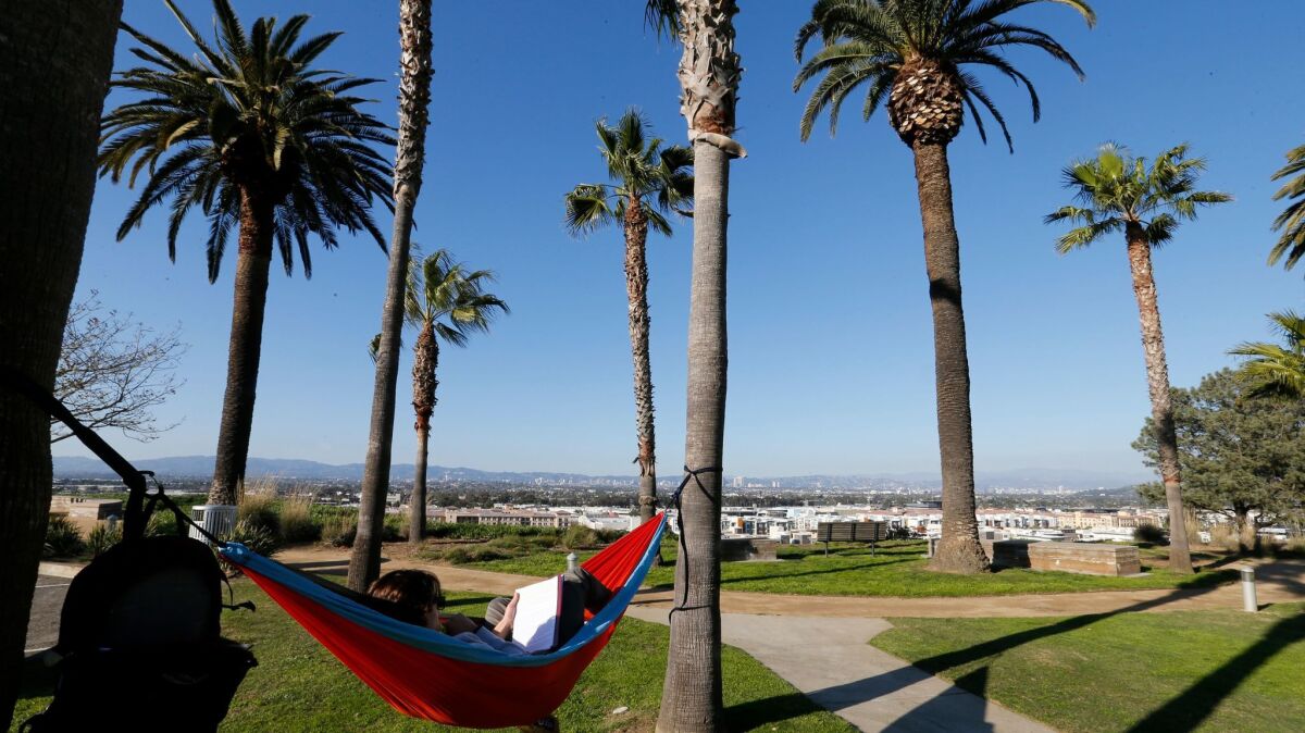Amid clear skies, Loyola Marymount University student Nils Heidenreich relaxes in a hammock at Loyola Marymount University in Los Angeles on Jan. 25.