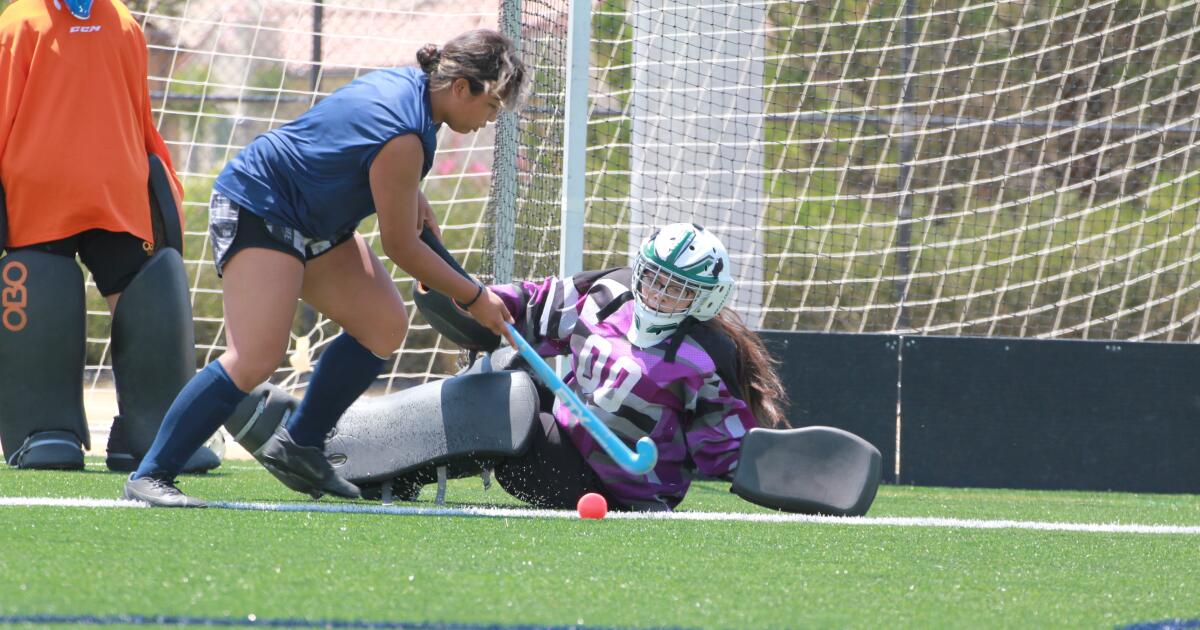 Titans' Provencio 'one of the best goalies in the county
