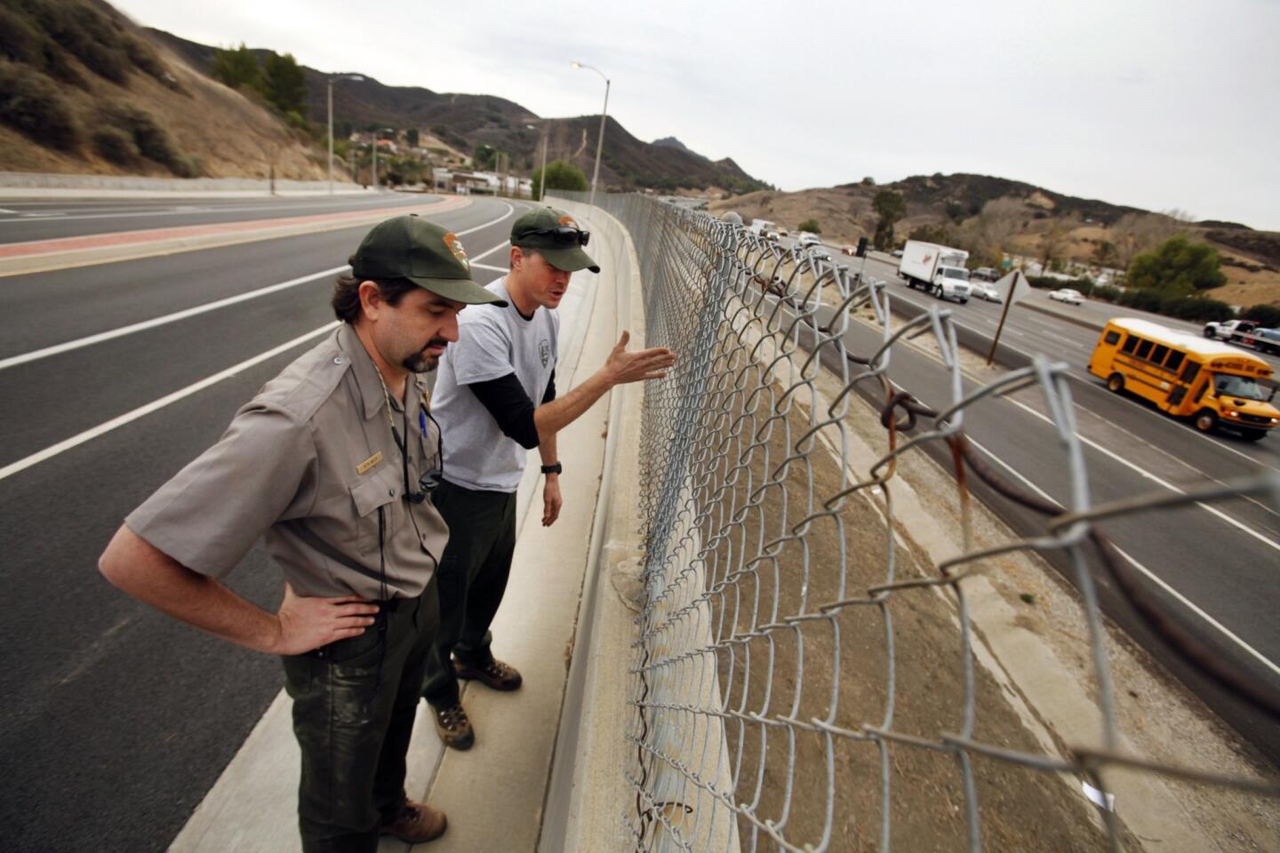 The National Park Service's Seth Riley, left, and Jeff Sikich stand at a wall overlooking the 101 Freeway at Liberty Canyon Road in Agoura Hills, where a mountain lion was fatally struck by a car in October 2013 while attempting to cross. The area is part of a critical wildlife corridor.