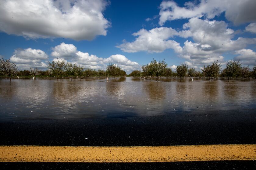 EARLIMART, CA - MARCH 16, 2023: Blue skies and puffy clouds create a scenic backdrop for almond orchards which are still flooded just onside of Pixley on March 16, 2023 in Earlimart, California. Tulare County will get a break from the rain this weekend, but more rain is forecast for next week.(Gina Ferazzi / Los Angeles Times)