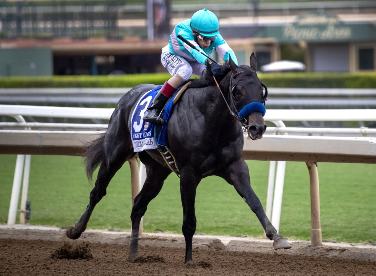 Jockey John Velazquez rides Eight Rings ahead of the pack to win the American Pharoah Stakes, Santa Anita Autumn Race 8 at Santa Anita Park, which opened its 23-day Autumn Meet in Arcadia on Friday.