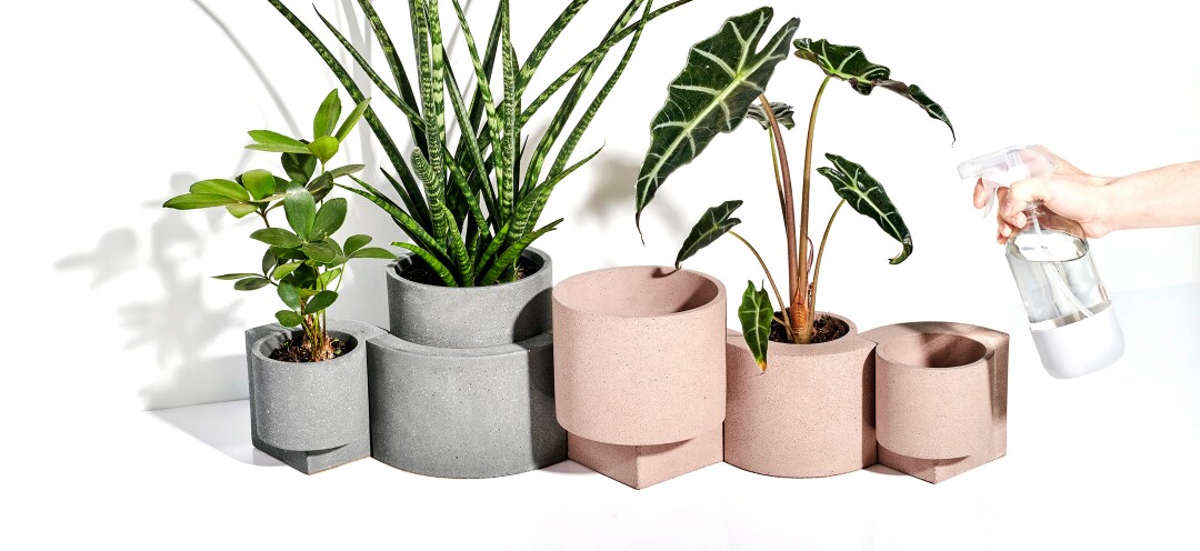 Plant-filled planters.