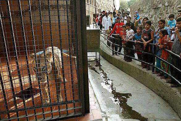 Lahore Zoo